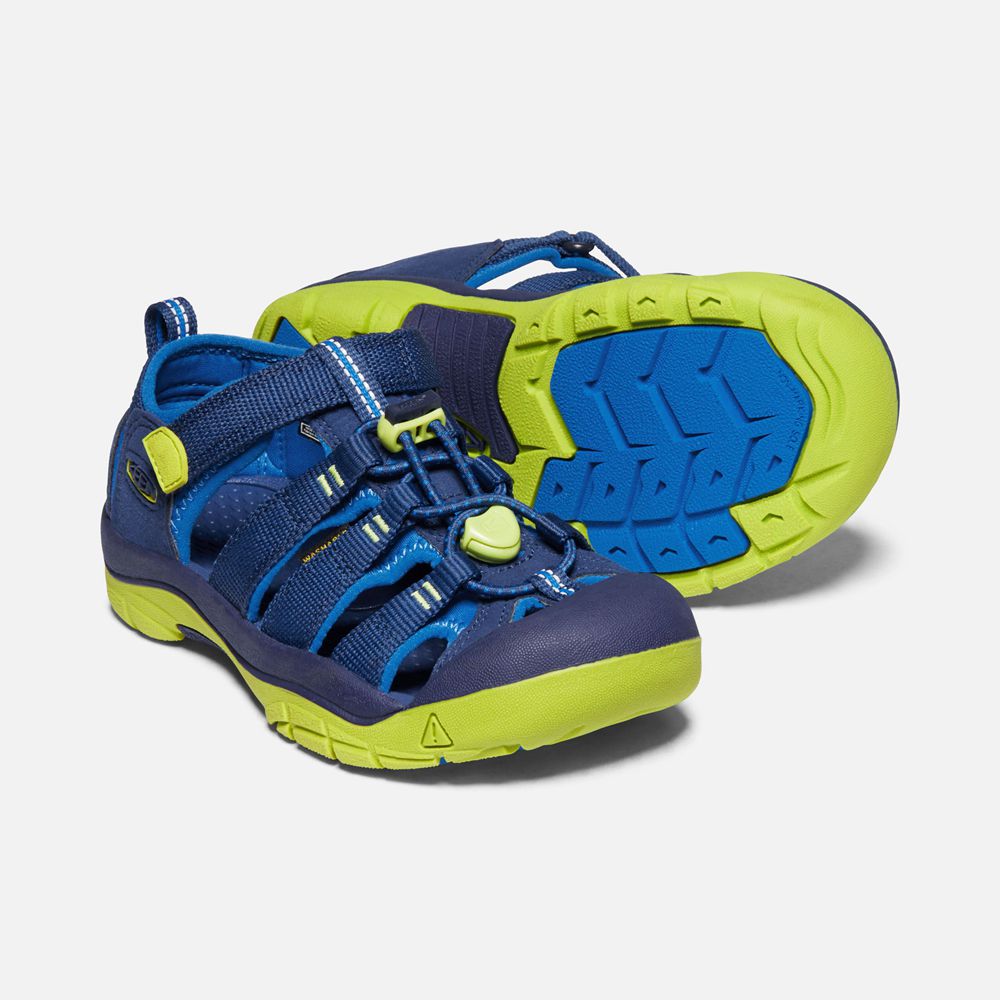 Keen Sandaal Kinderen Blauw/Groen - Newport H2 - 72389-GXKQ